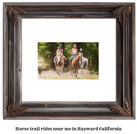 horse trail rides near me in Hayward, California